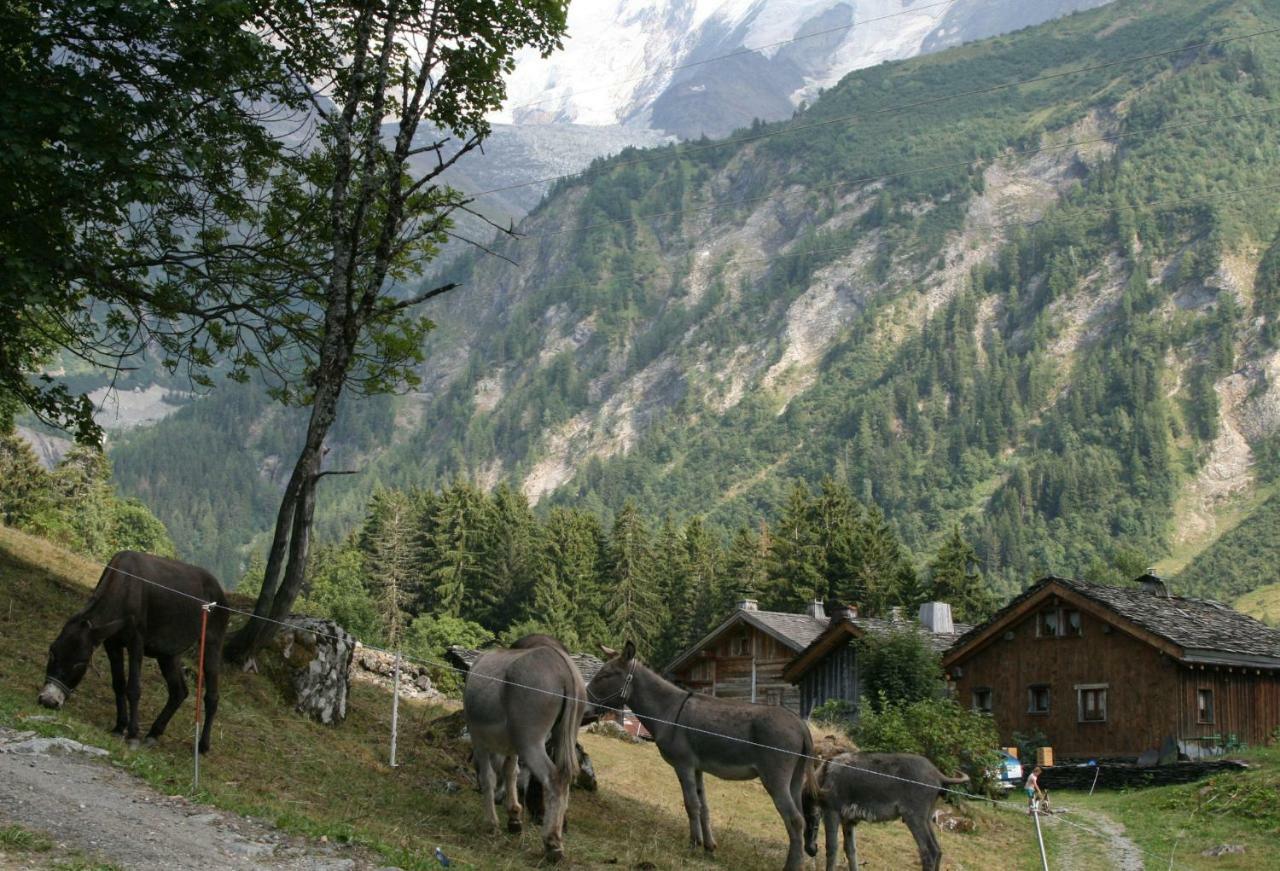 Les Jardins Alpins - Apartment Saint-Gervais-les-Bains Zewnętrze zdjęcie